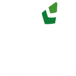Mini 4WD Sport - Logo2